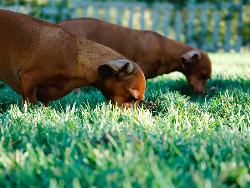 sudoku chain solving screenshot 3