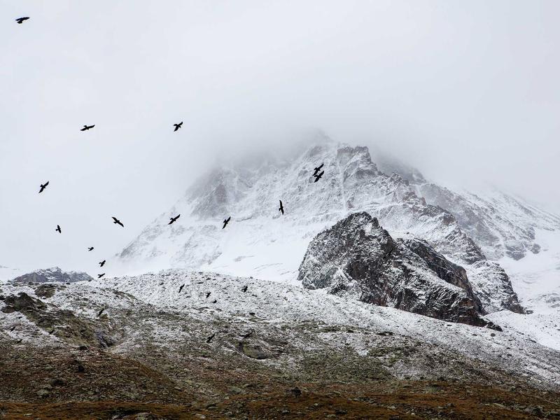 sudoku chain solving screenshot 1
